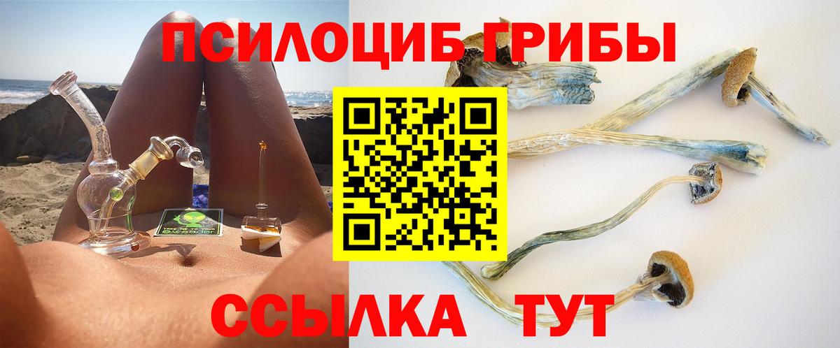 Псилоцибиновые грибы MAGIC MUSHROOMS Гусиноозёрск